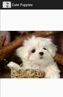 cute puppies Screenshots 8