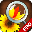 Find Differences PRO logo