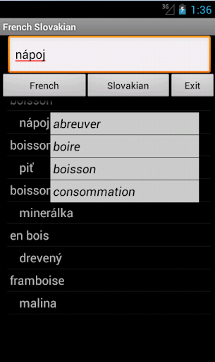 French Slovak Dictionary