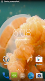 Jellyfish. Video Wallpaper