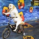 Jamaica Zoo logo