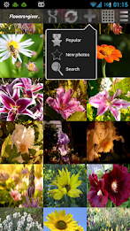 SqrMe - Square Photo Editor poster 5