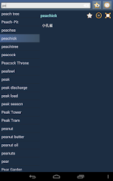 English Mandarin Dictionary poster 13