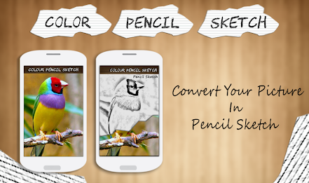 Color Pencil Sketch effect poster 6