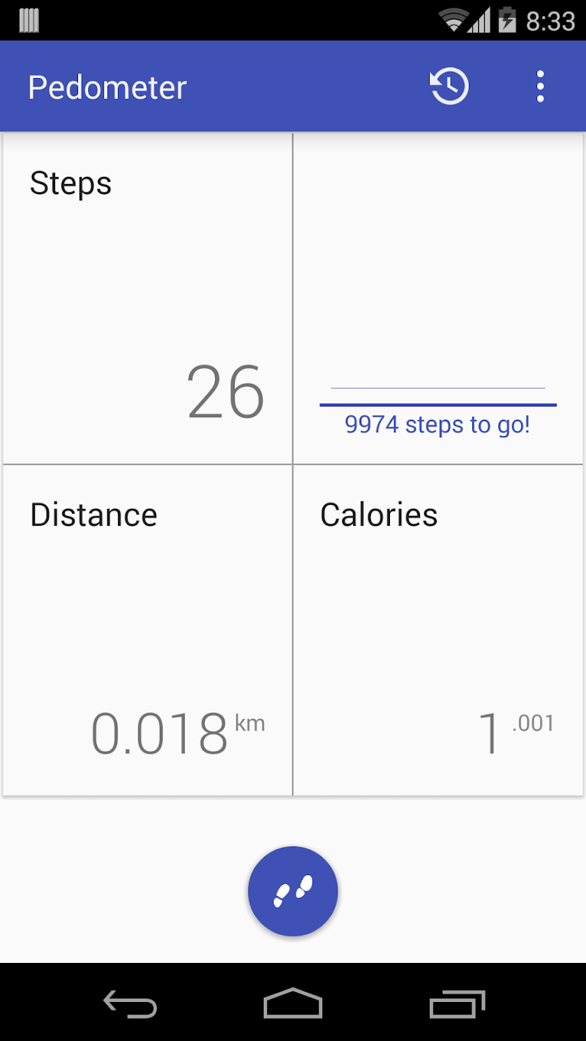 Pedometer Pro Screen 2