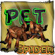 Spider Pet