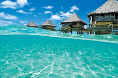 The Paul Gauguin takes you to InterContinental Le Moana Bora Bora, where distinctive bungalows perch above the water and offer the ultimate island escape.