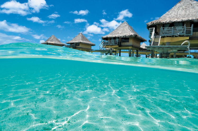 The Paul Gauguin takes you to InterContinental Le Moana Bora Bora, where distinctive bungalows perch above the water and offer the ultimate island escape.