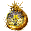 FlashDragon ClockWidget logo