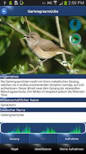 Vogelstimmen Id - Ruf + Gesang(圖2)-速報App