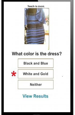 What Color is the Dress