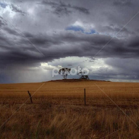The Wheatbelt by Dan Searle - Landscapes Prairies, Meadows & Fields