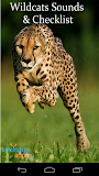 Wild Cats Sounds and Checklist