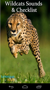 Wild Cats Sounds and Checklist(圖1)-速報App