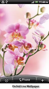 Orchid Live Wallpaper