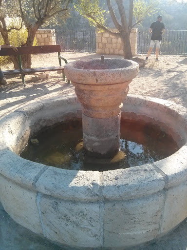 La Fuente Del Raton