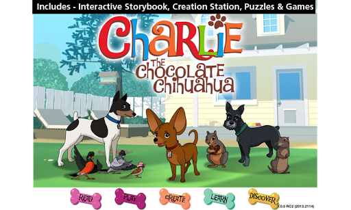Charlie Chocolate Chihuahua