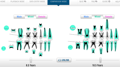 Atlas of Tooth Development