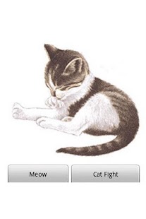 How to get Pet Me Cat 1.2 apk for android