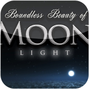 HD moonlight sky flight live