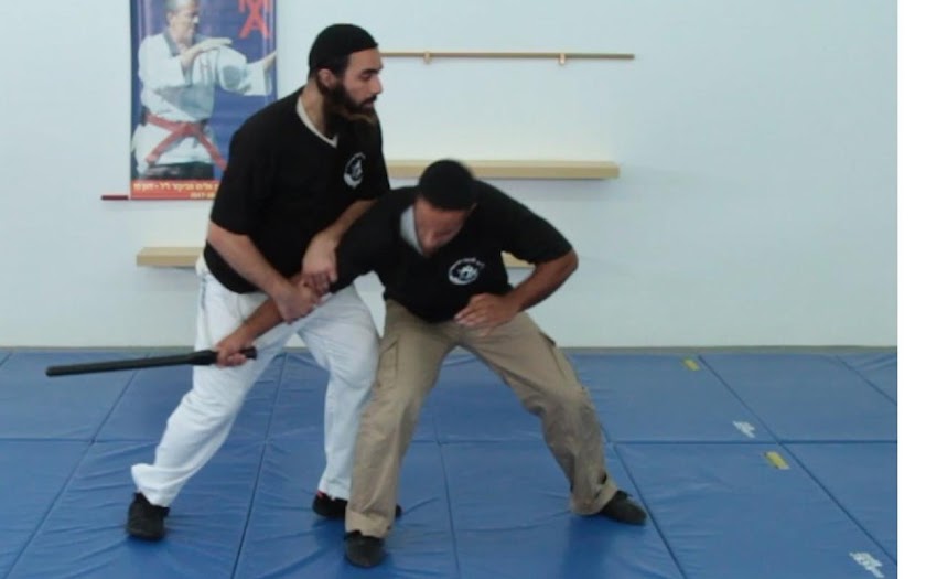 Krav Maga- Kicks Screen 3