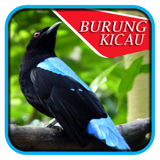 免費下載書籍APP|Aneka Burung Kicau app開箱文|APP開箱王