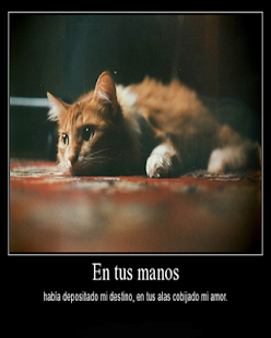 How to download imagenes de desamor patch 2.0 apk for android