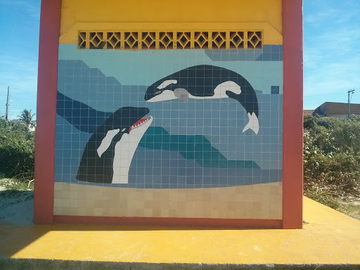 Painel De Azulejos Baleias