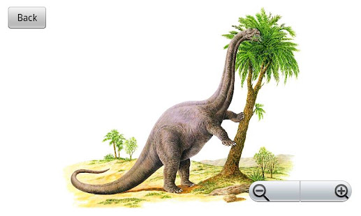 Dinosaurs Expert Guide(圖6)-速報App