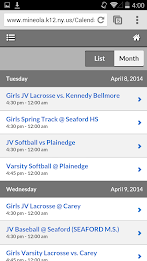 Mineola UFSD poster 2