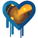 HeartBleed Detector icon