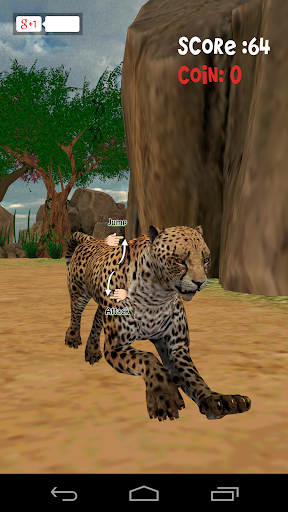 Animal Run :Cheetah 3D