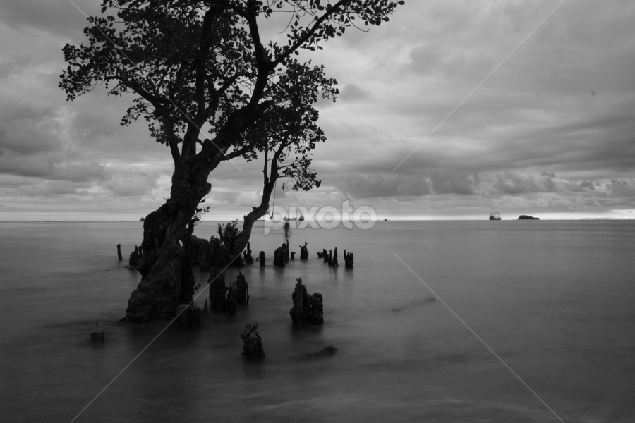 by Alvendo Aranski - Landscapes Beaches