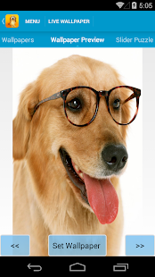 Cute Dogs Live Wallpapers(圖3)-速報App