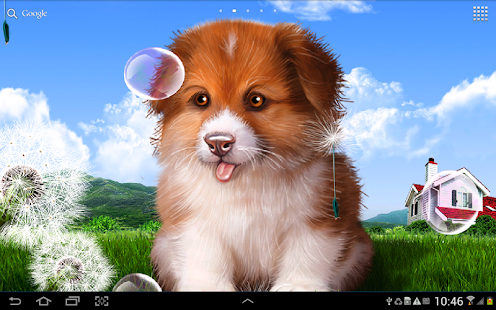 Puppy Wallpaper(圖4)-速報App