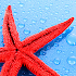 10,000+ Wallpapers HD1.12