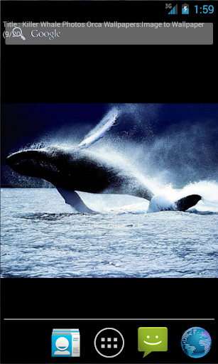 Whales Live Wallpaper
