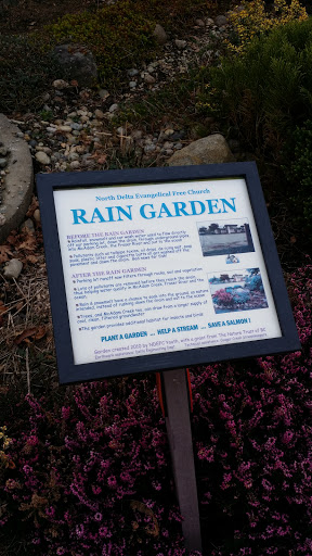 Free Church Rain Garden