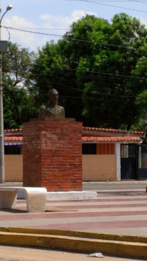 Plaza José Félix Ribas 