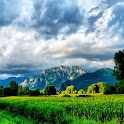 Wallpaper Nature8 logo