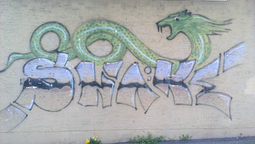 Schlangen Graffiti