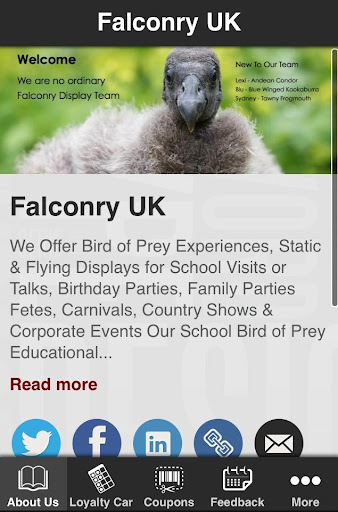 Falconry UK