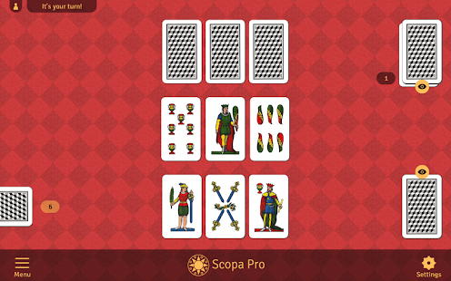 Scopa Pro