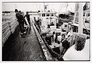 HD57 Elvira. Aan de kade