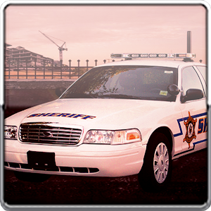 3D Police Rush.apk 1.1