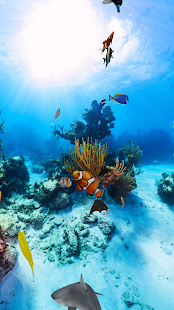 Trial Aquarium 360 LWP(圖2)-速報App