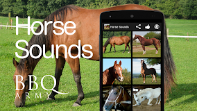 Horse Sounds