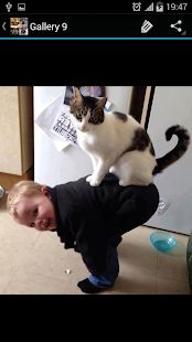 Funny Picture Ideas Screenshots 2