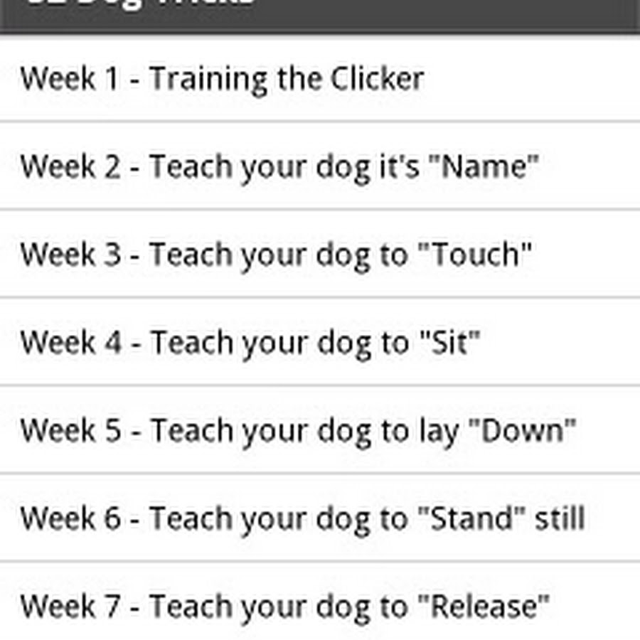 Clicker Training Your Dog
