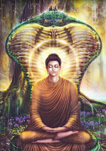 Lastest Cuoc Doi Duc Kinh Phat Giao APK for Android